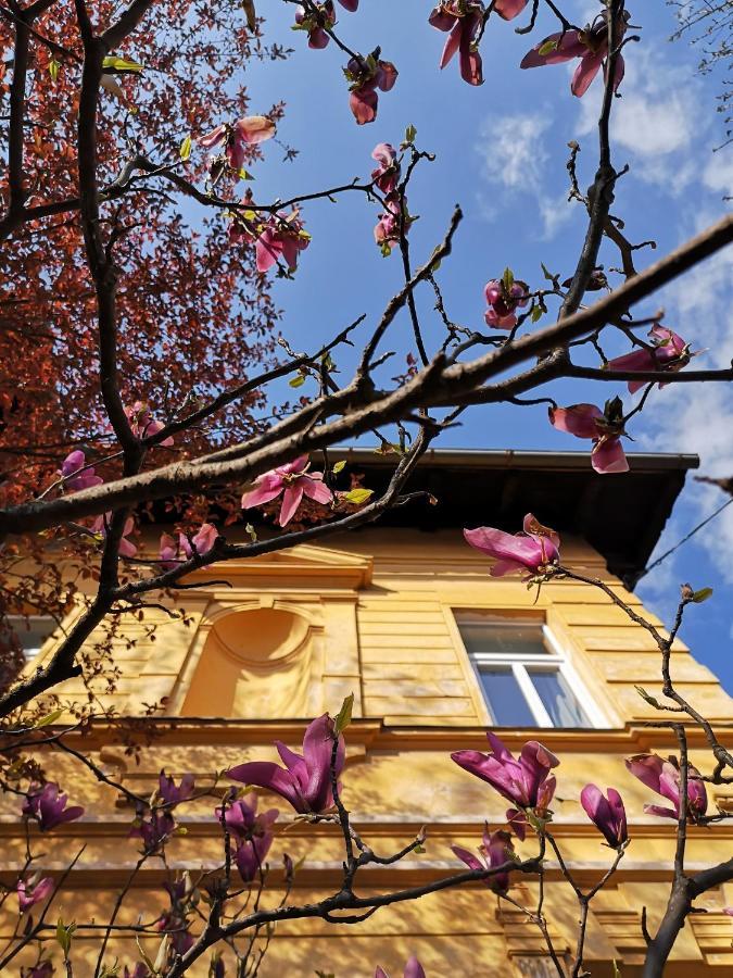 Vila Veselova, Ljubljana City Center Hostel ภายนอก รูปภาพ